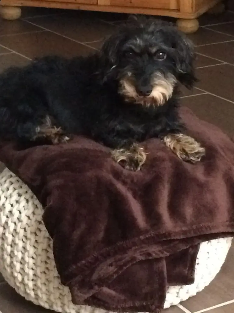 Condolence image of Silke
