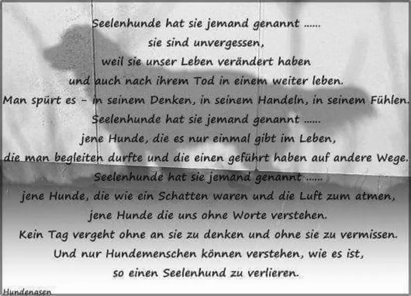 Condolence image of Silke