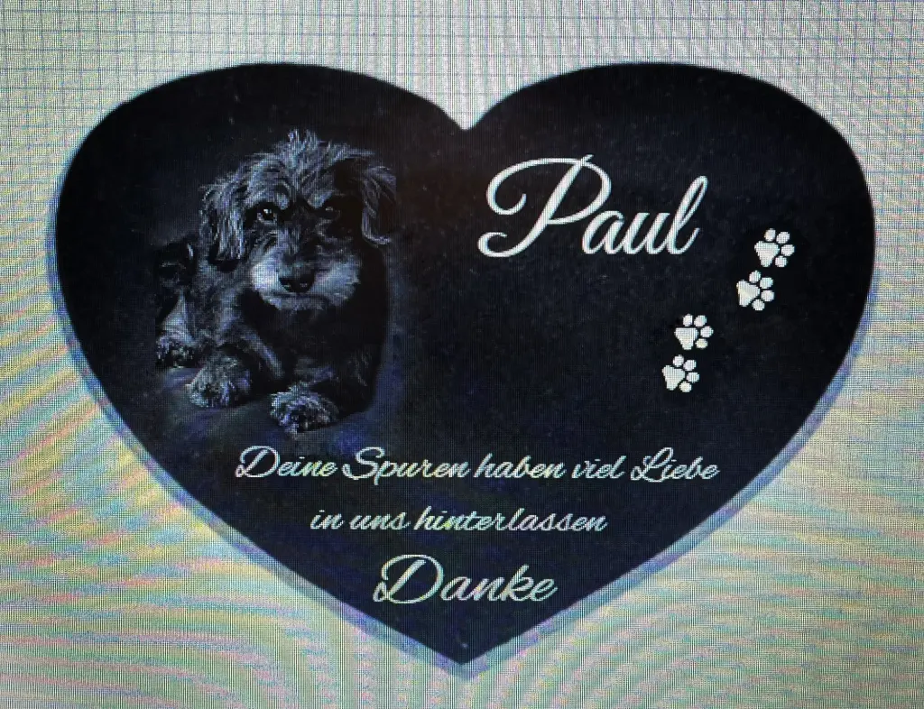 Image from Paul