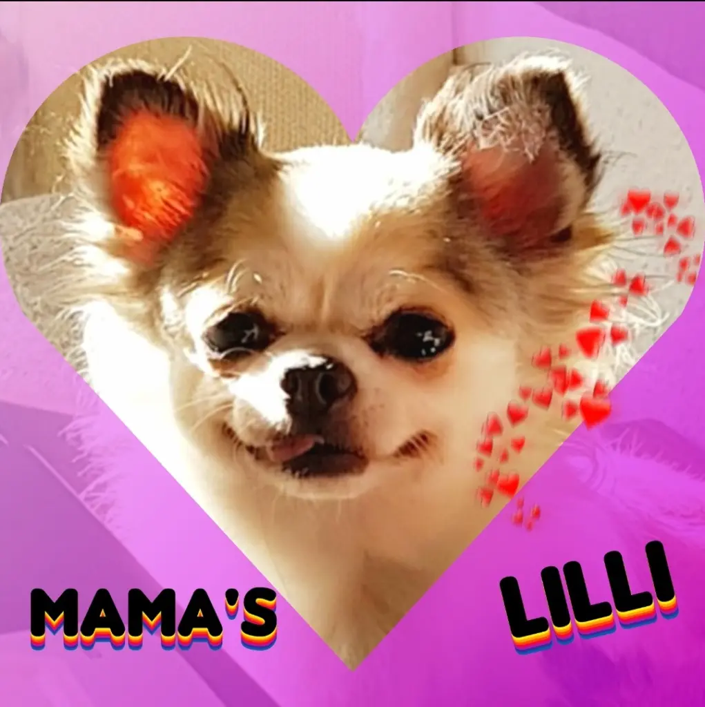 Image from Lilli