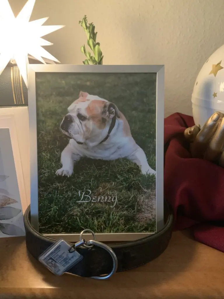 Condolence image of Bettina