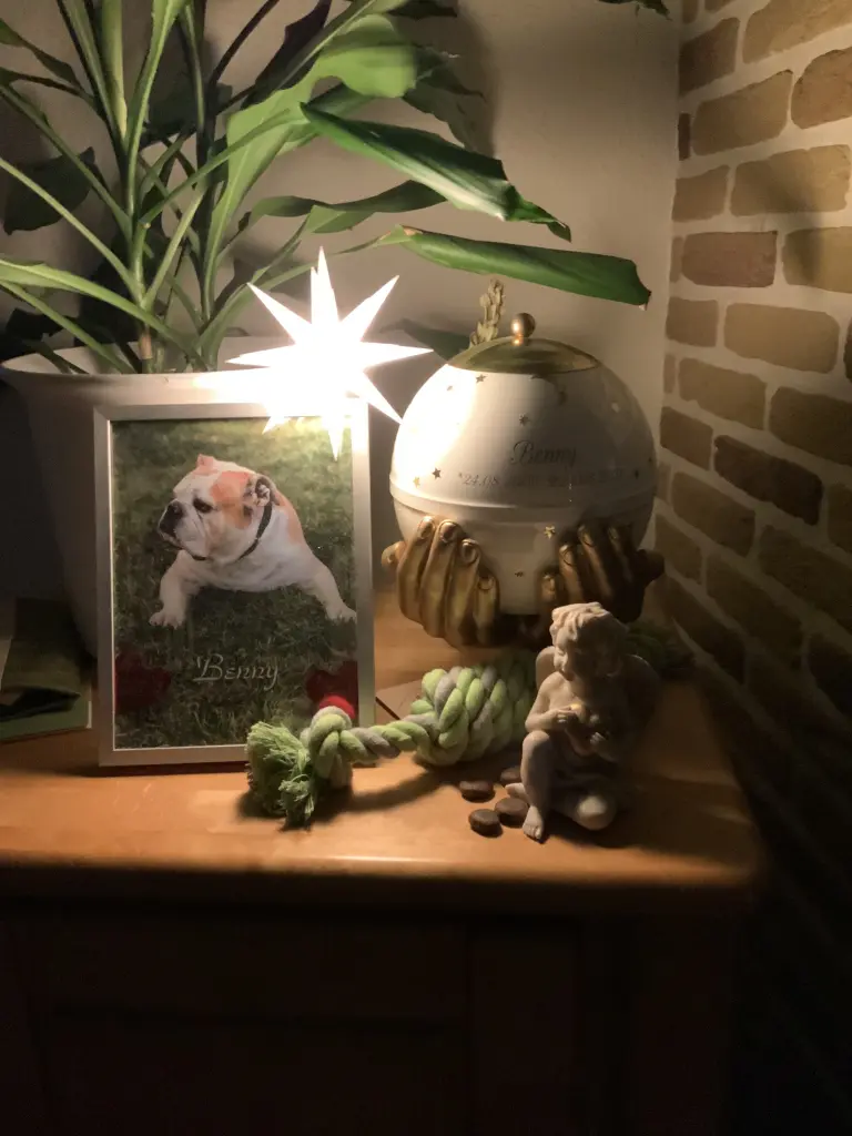 Condolence image of Bettina