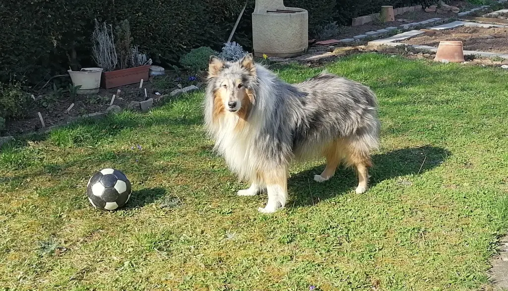Image from Rusty