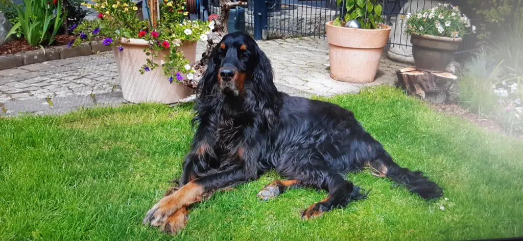 Bild von Bonney