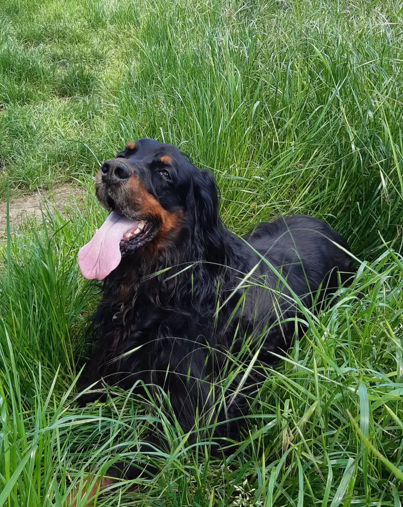 Bild von Bonney