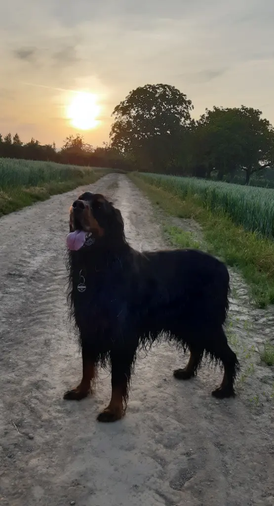 Bild von Bonney