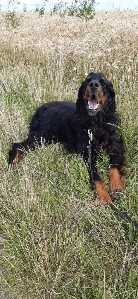 Bild von Bonney