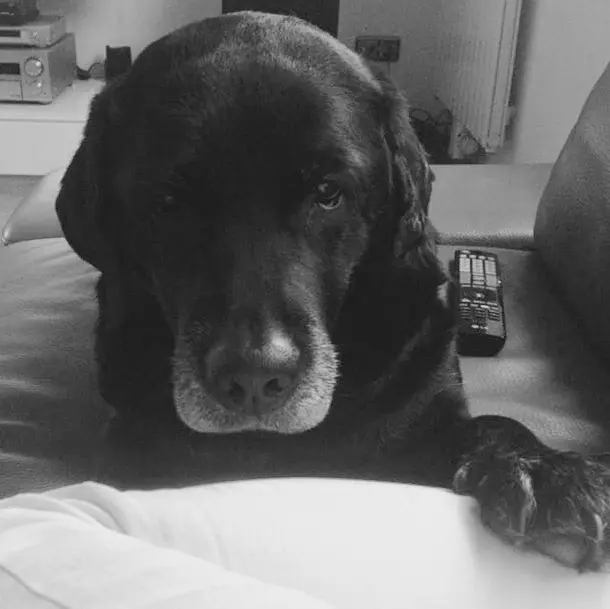 Condolence image of Andy