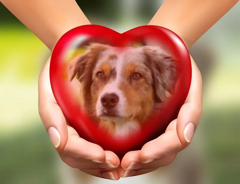 Condolence image of ❤️❤️❤️❤️❤️❤️❤️❤️❤️❤️❤️❤️❤️❤️
