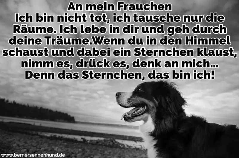 Andachtsbild von Jutta mit ❤️ Flash ❤️ im Herzen 17.01.20