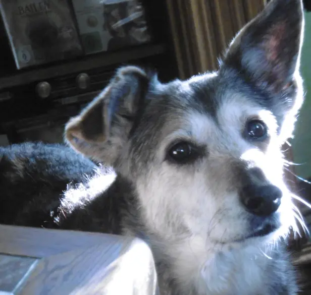 Image from Kessy
