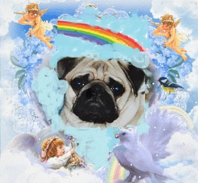 Condolence image of Frauchen