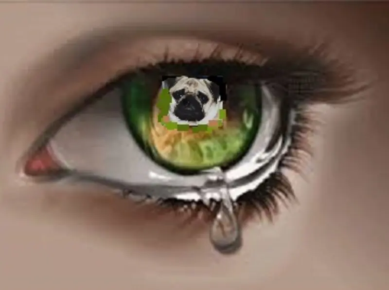 Condolence image of Frauchen