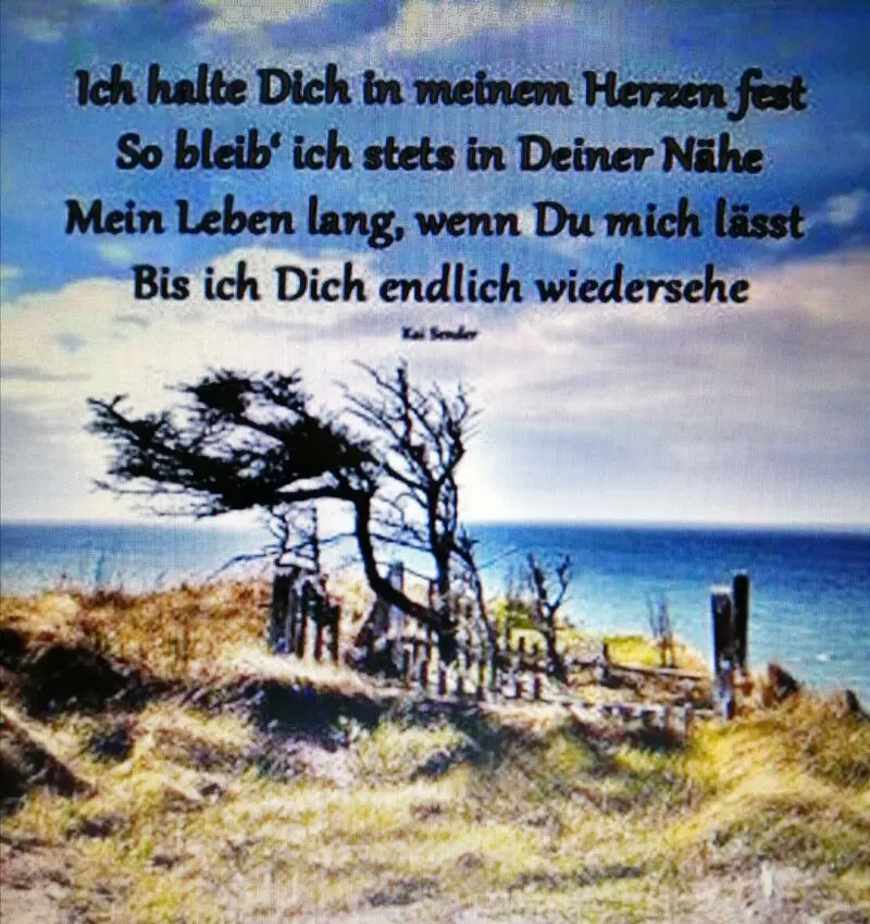 Condolence image of Frauchen