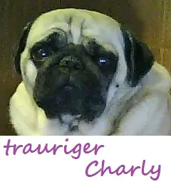 Image from Charly