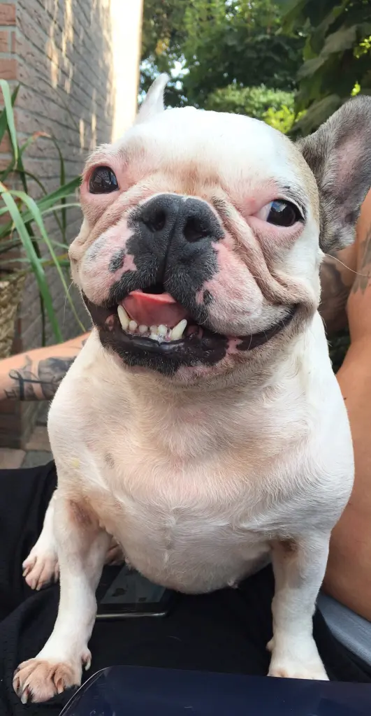 Image from Lola