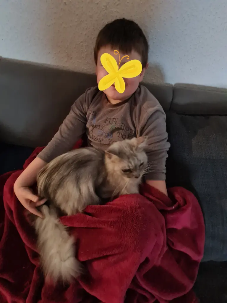 Image from Gismo