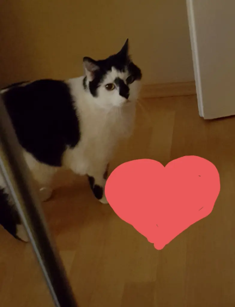 Image from Winnie