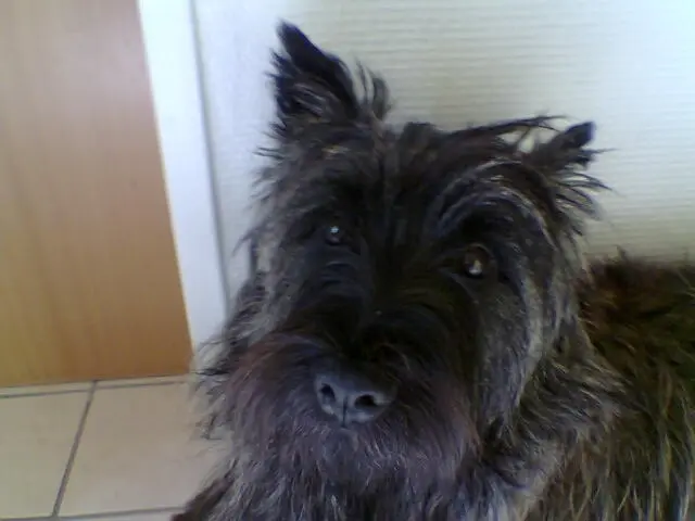 Image from Filou