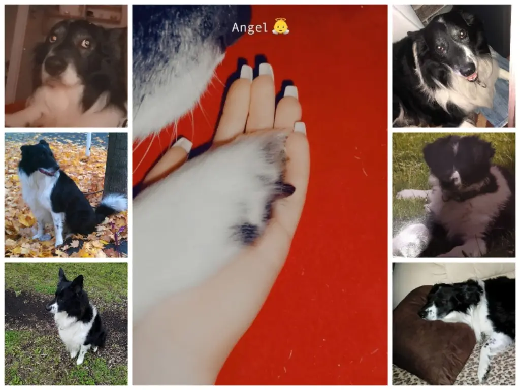 Image from Timba