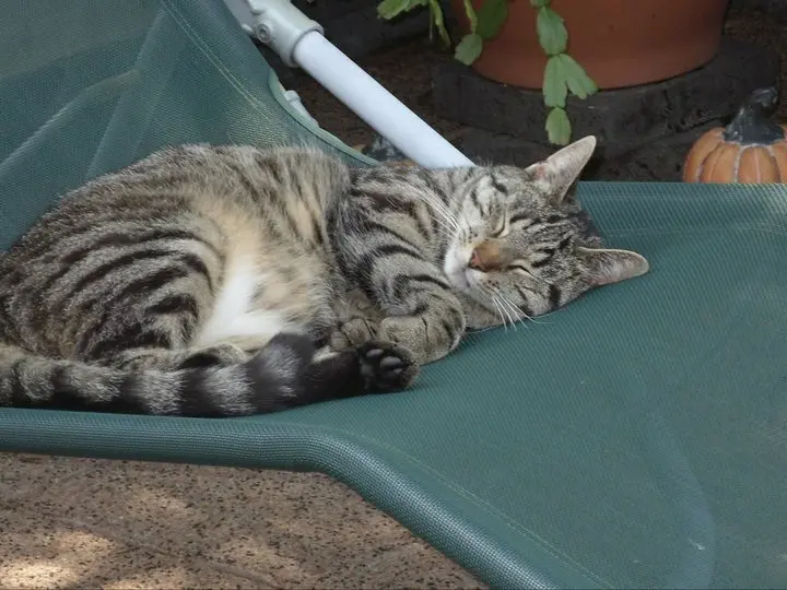 Condolence image of Barbara