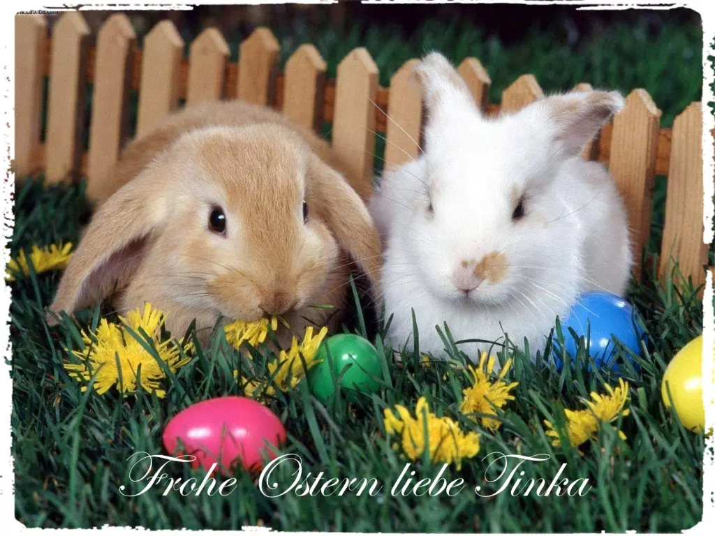 Condolence image of Gundula mit Gipsy im Herzen