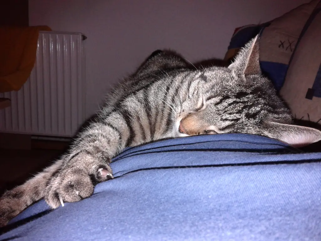 Image from Tinka