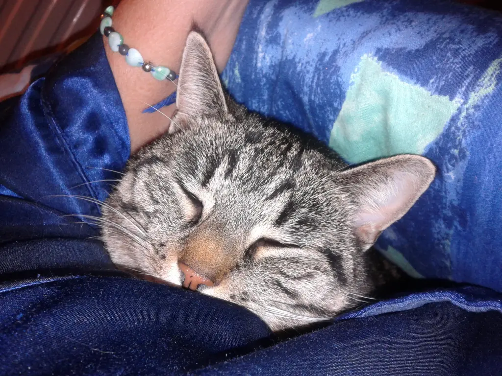 Image from Tinka