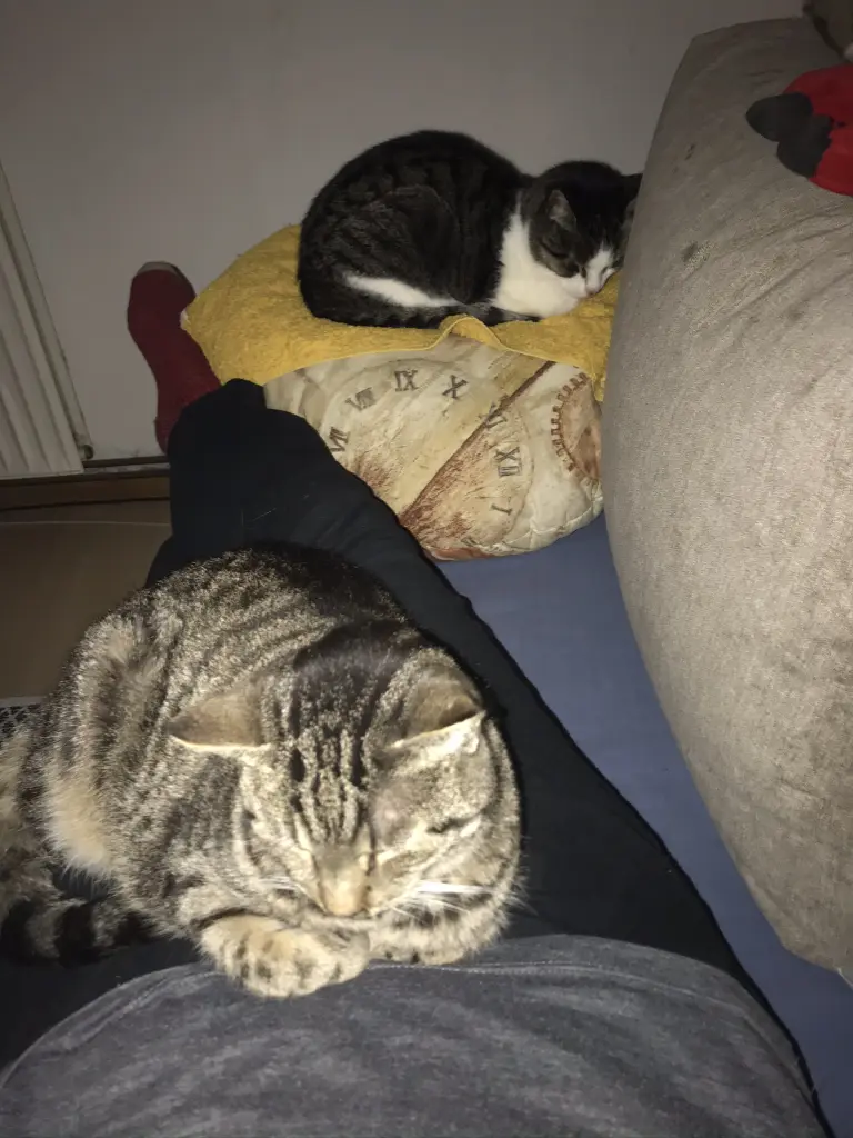 Image from Tinka