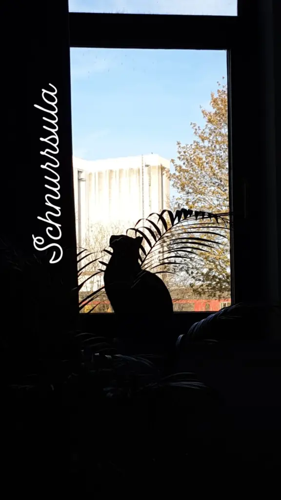 Image from Schnurrsula