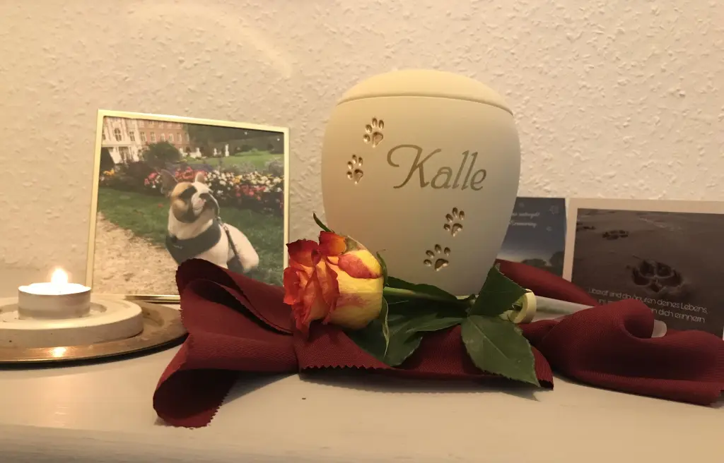 Condolence image of Jasmin