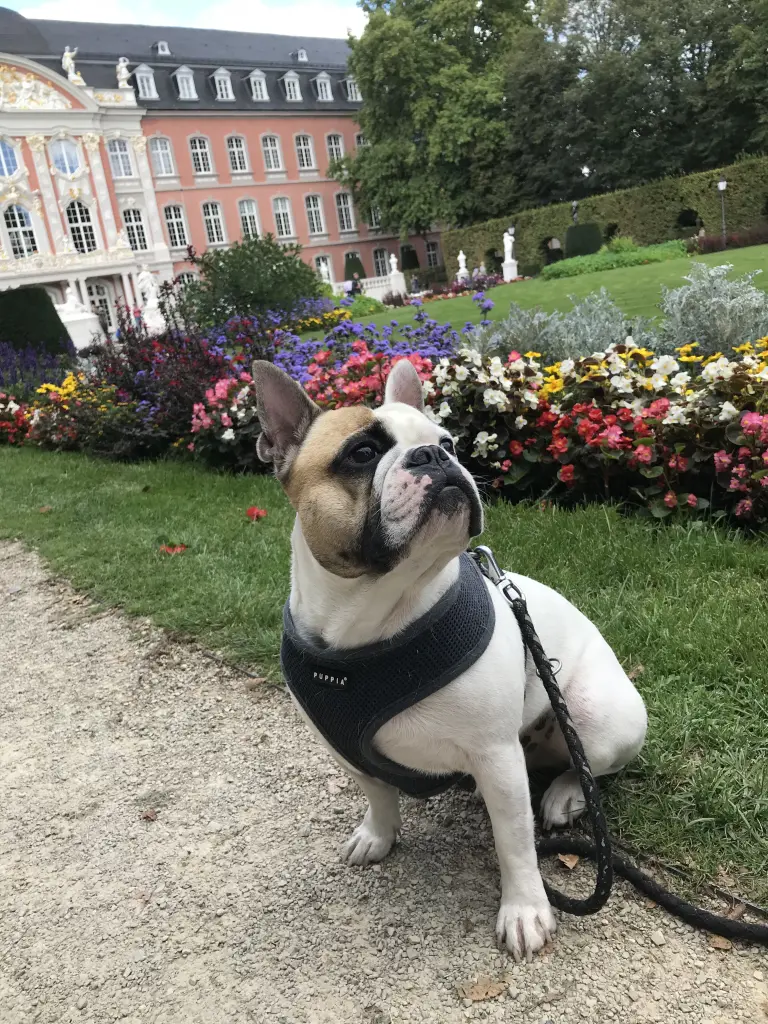 Image from Kalle