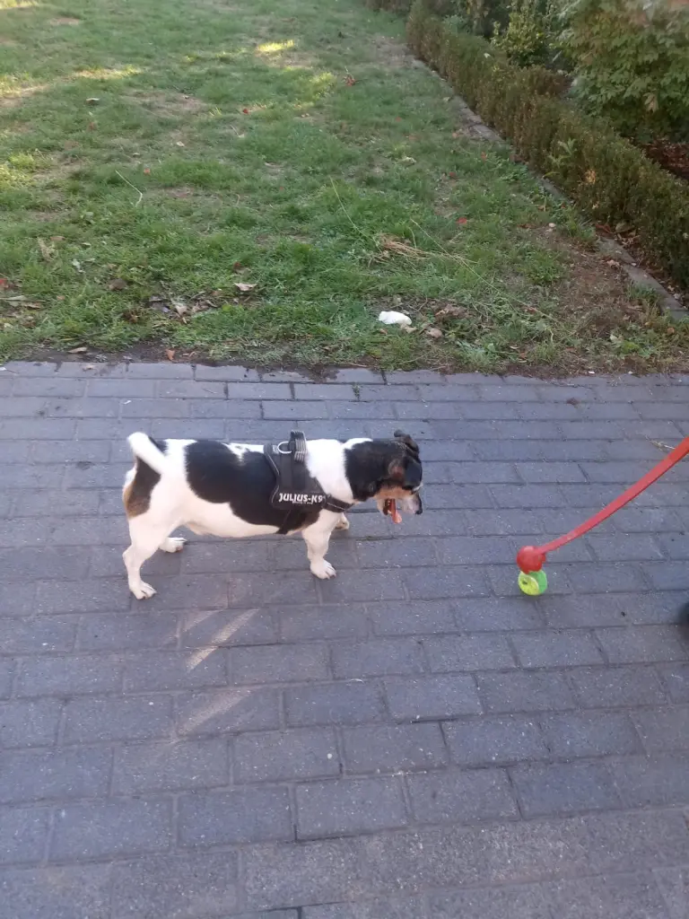 Image from Mailo