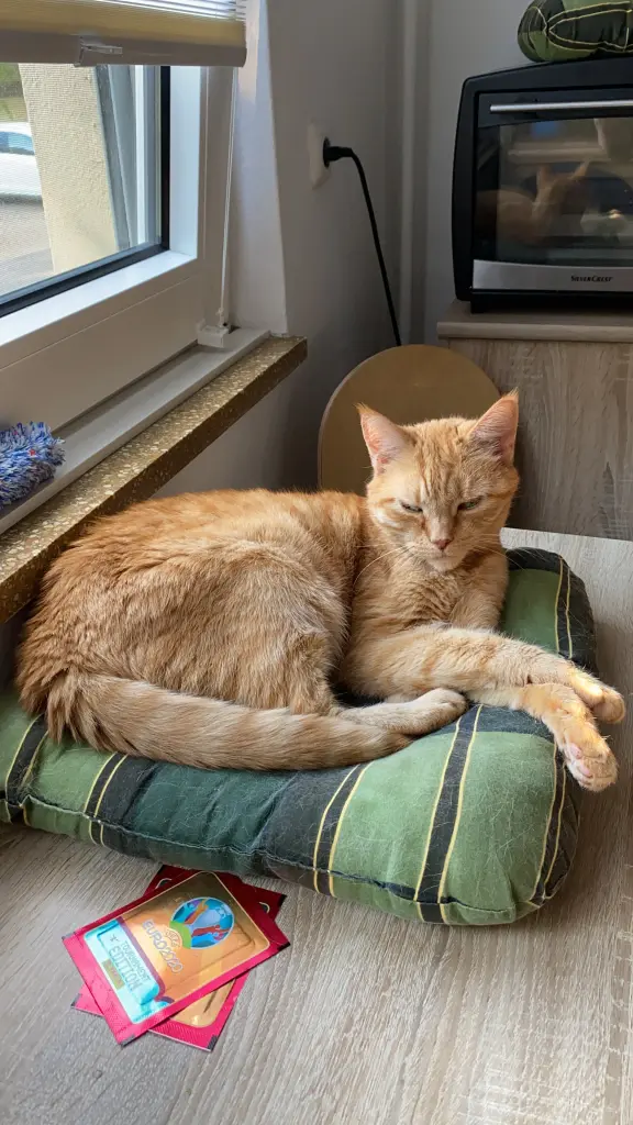 Image from Tigger