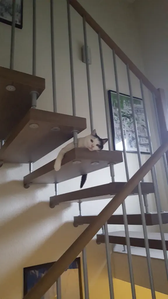 Image from Milow
