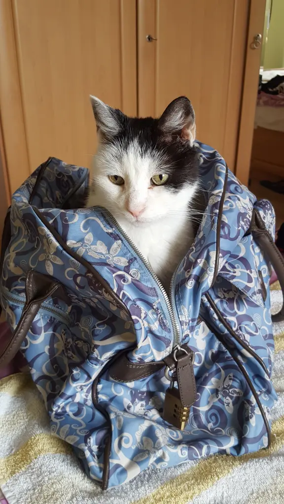 Image from Milow