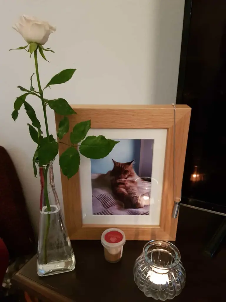 Image from Cole