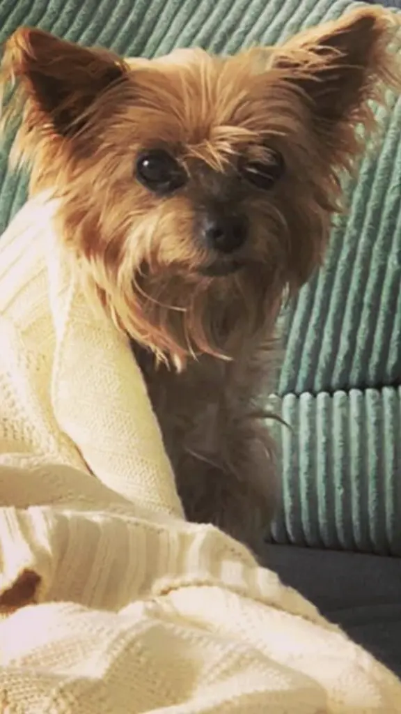 Image from Miley
