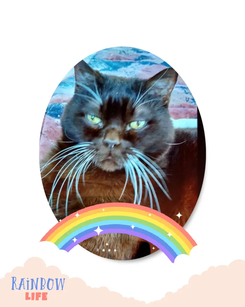 Condolence image of Marion