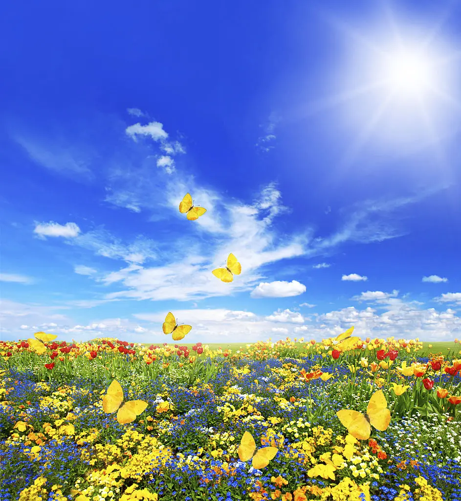 Condolence image of ~♡ Herz🌹 zu🌹Herz♡ ~