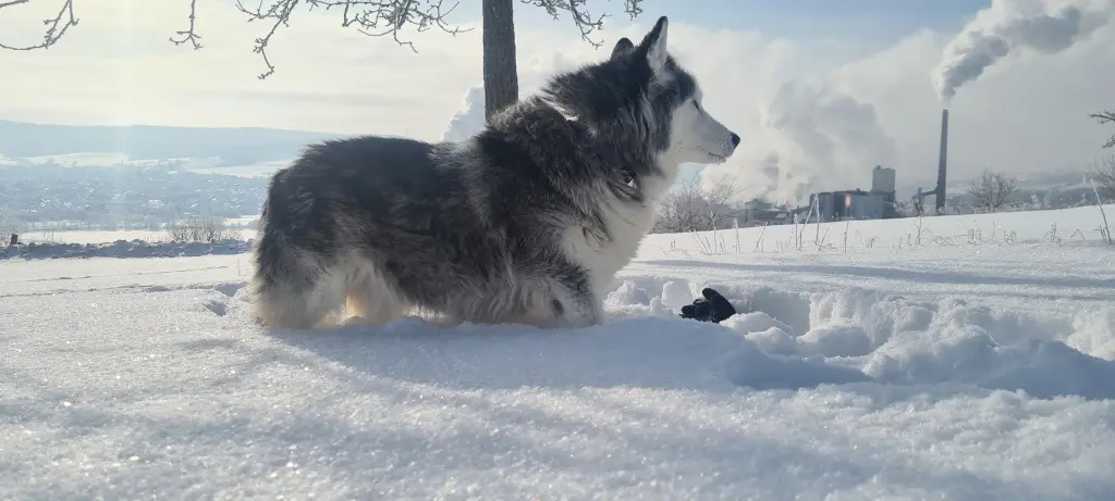 Image from Yukon