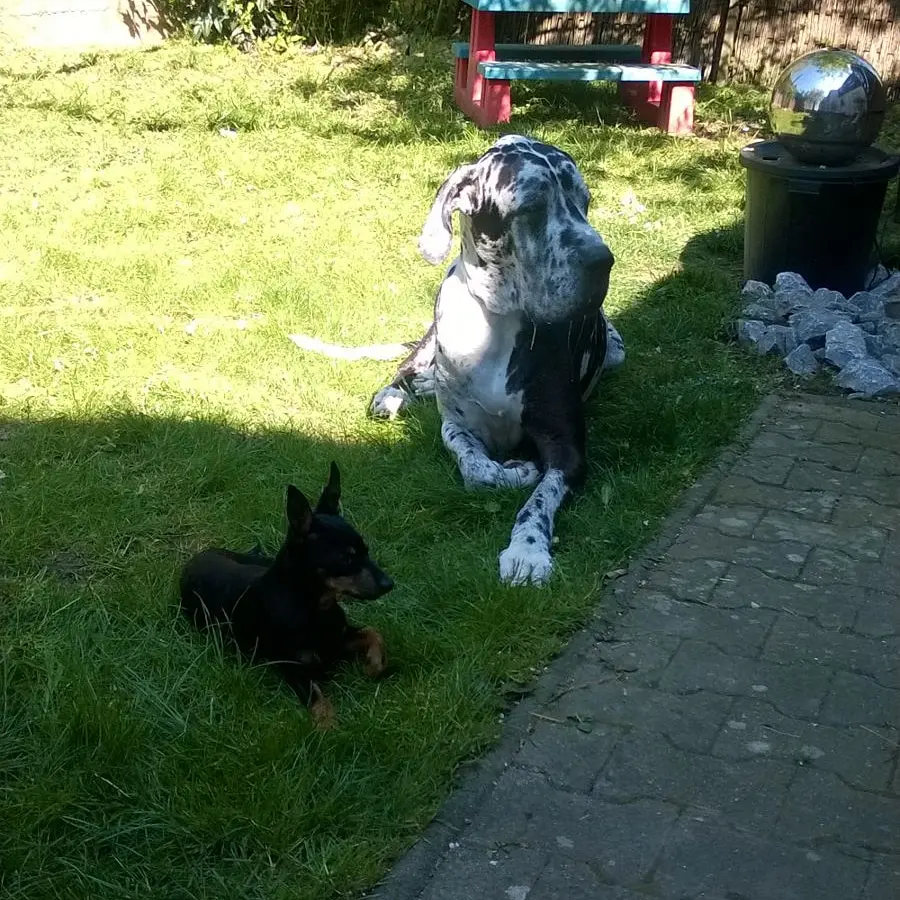 Image from Milow