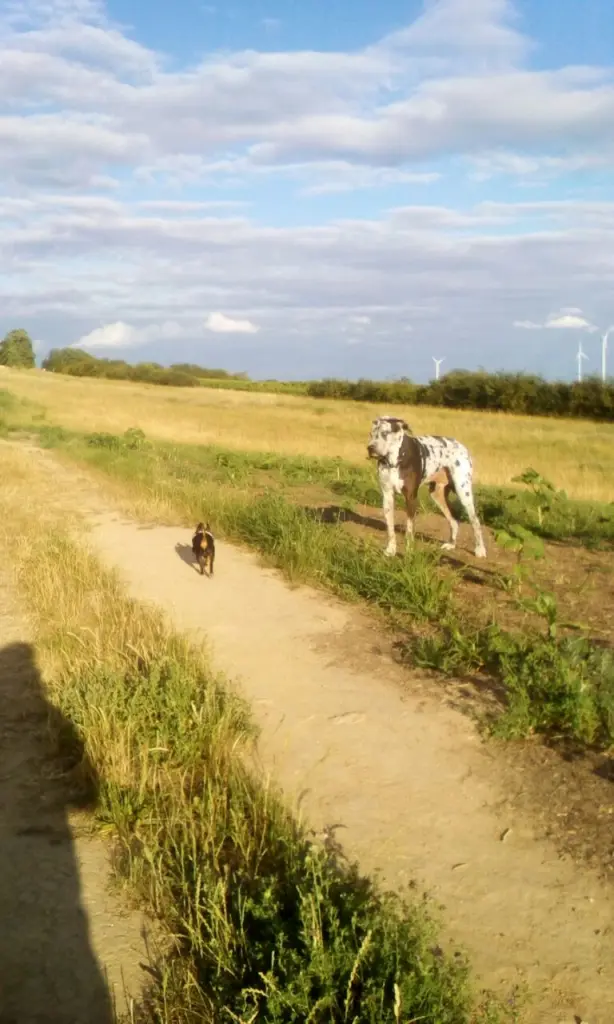 Image from Milow