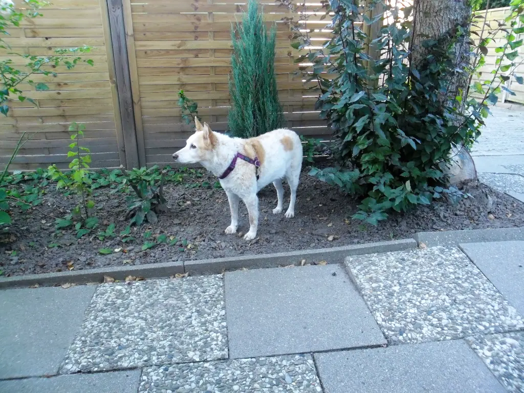Image from Sandy