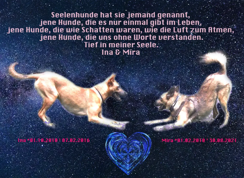 Image from Mira