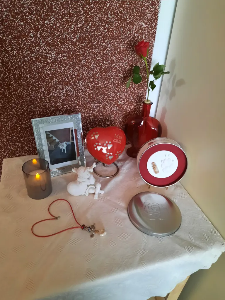 Image from Mia