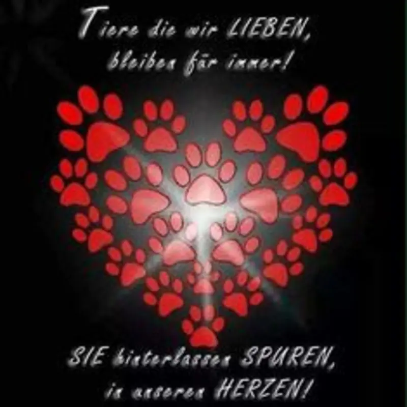 Condolence image of Eva mit Paco ❤