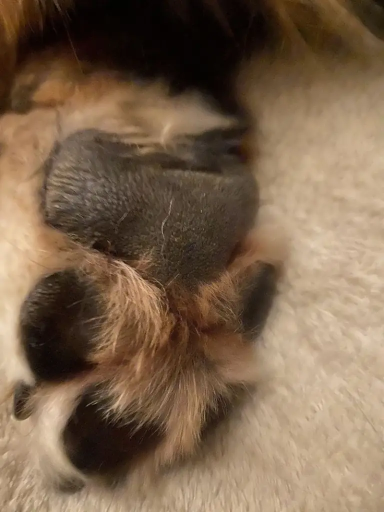 Andachtsbild von Vera Meyer