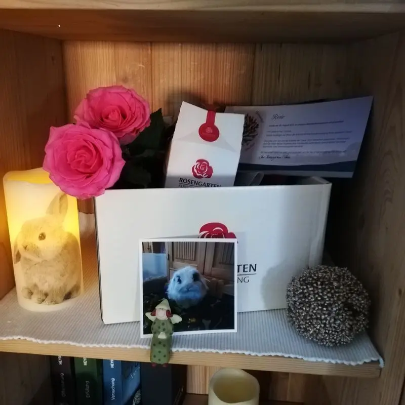 Condolence image of Unbekannt