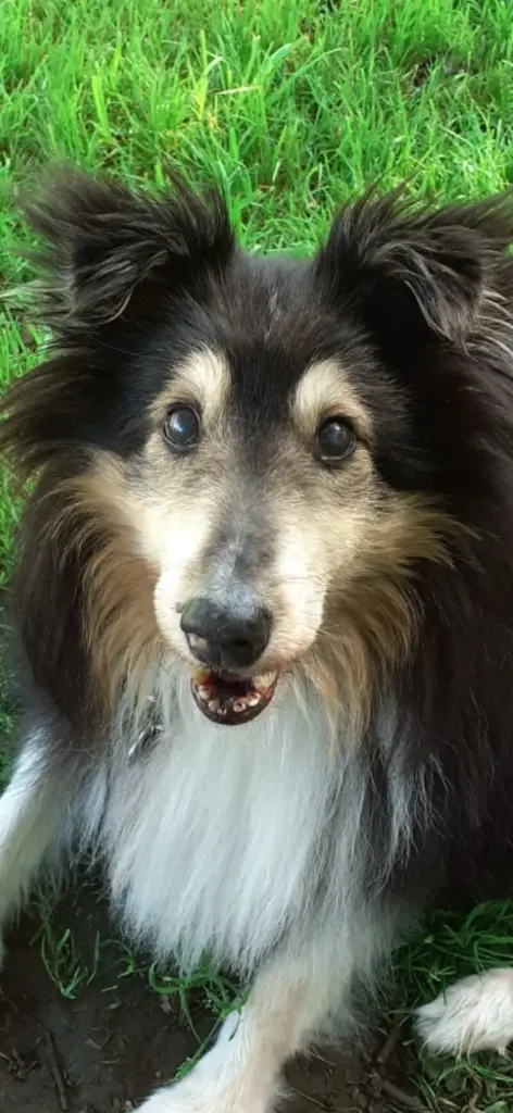 Condolence image of Claudia